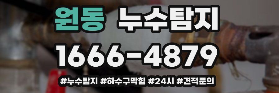 누수닥터 누수탐지