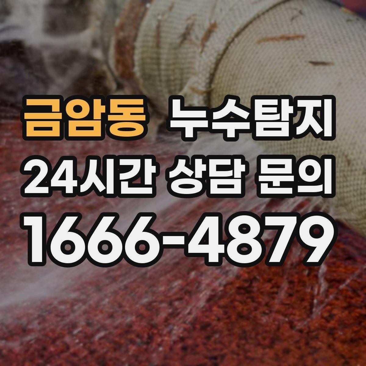 금암동 누수탐지 상가 매장 누수 신속 진단