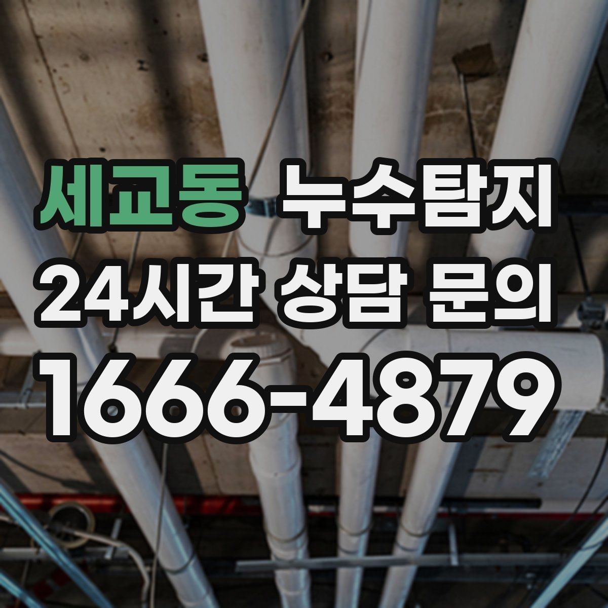 세교동 누수탐지 최소 파괴로 원인 찾는 과정 공개