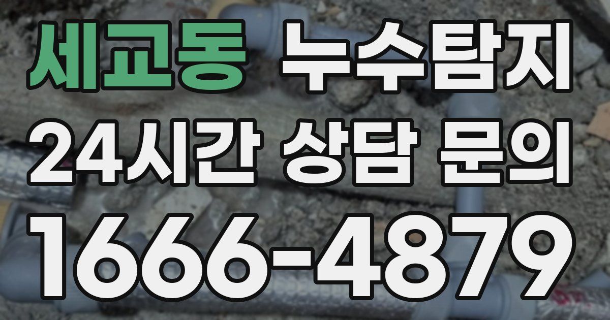 하수구막힘