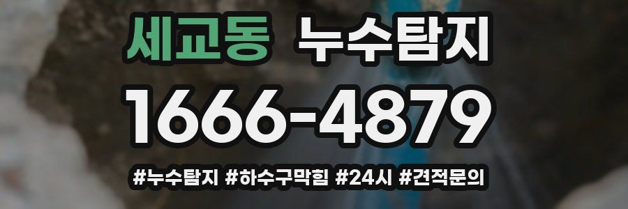 누수닥터 누수탐지