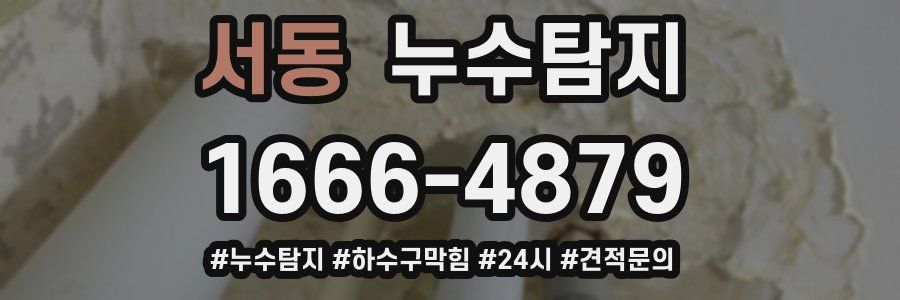 누수닥터 누수탐지