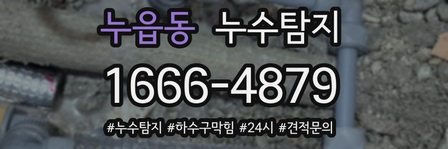 누수닥터 누수탐지