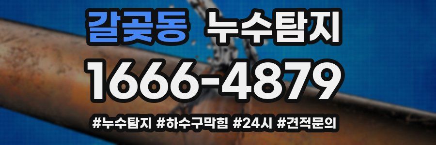 누수닥터 누수탐지