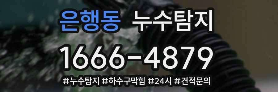 누수닥터 누수탐지