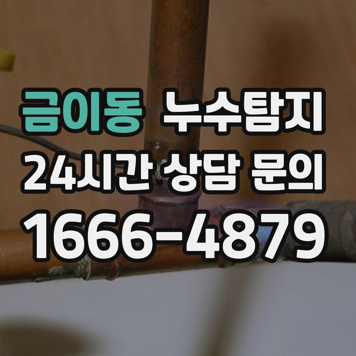 누수탐지