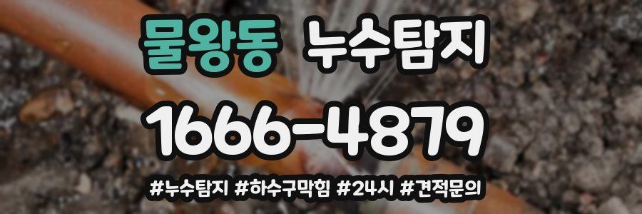 누수닥터 누수탐지