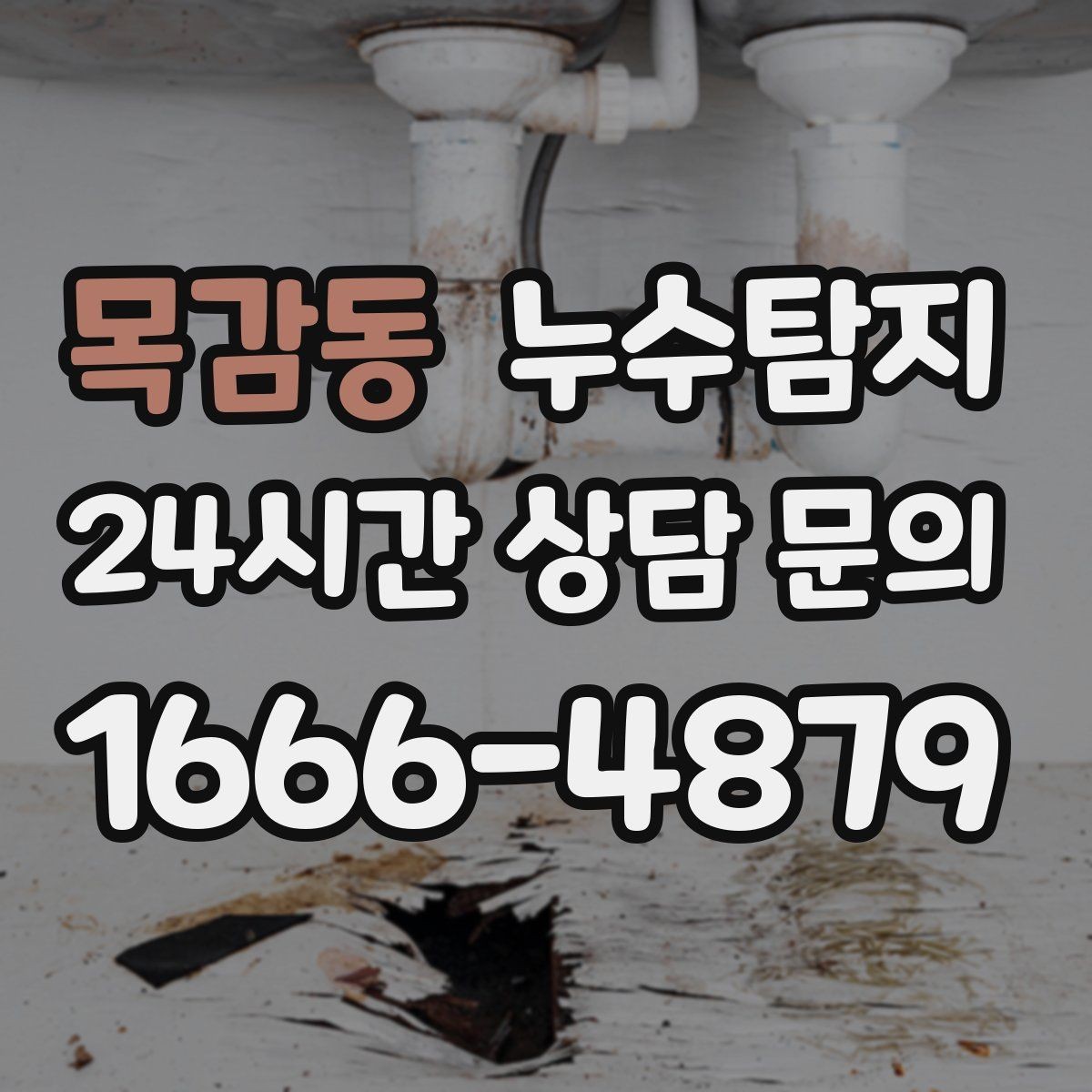 목감동 누수탐지 장마 대비 옥상 점검 체크