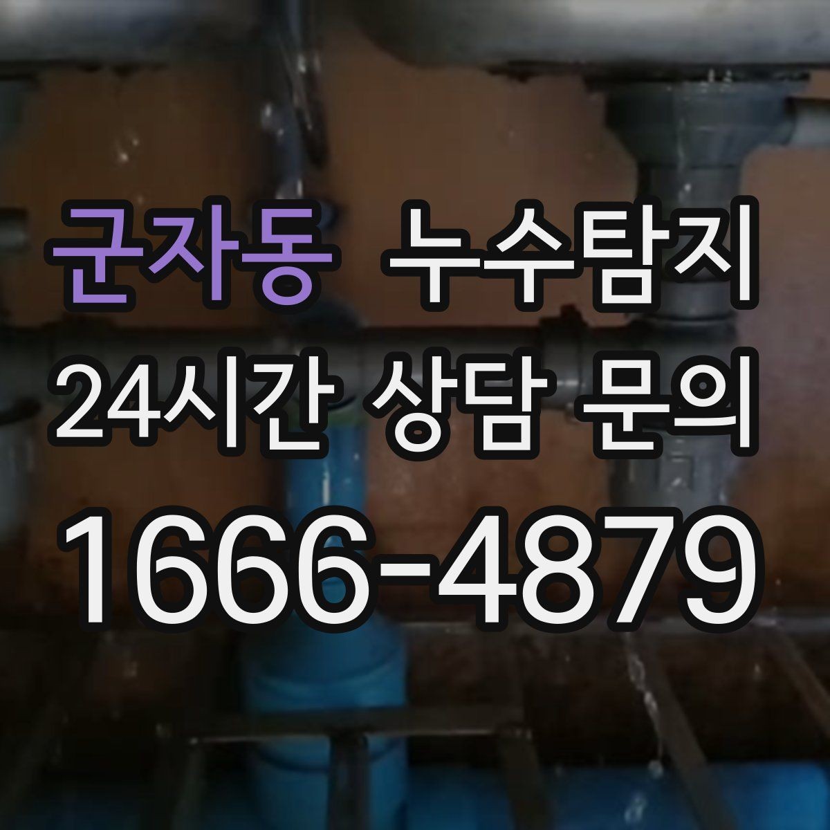 군자동 누수탐지 전문 진단 서비스