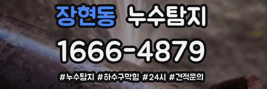 누수닥터 누수탐지