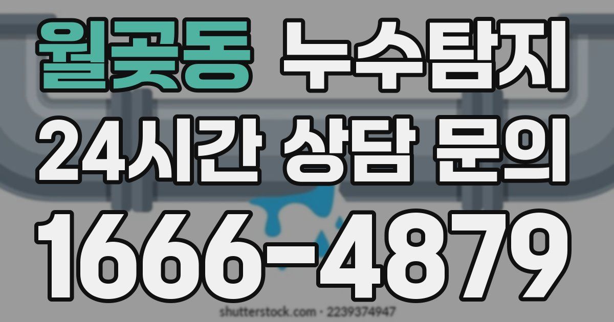 하수구막힘