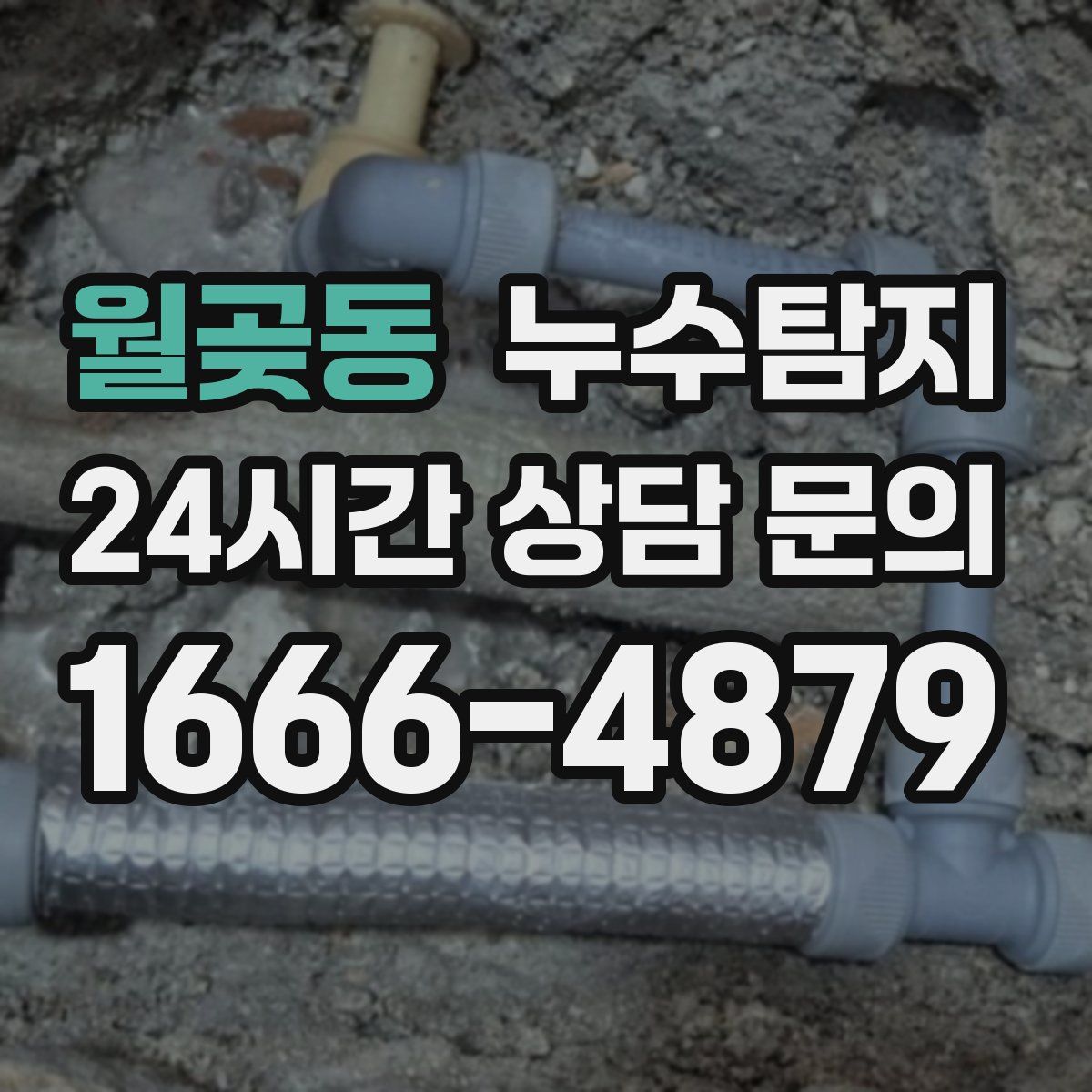누수탐지