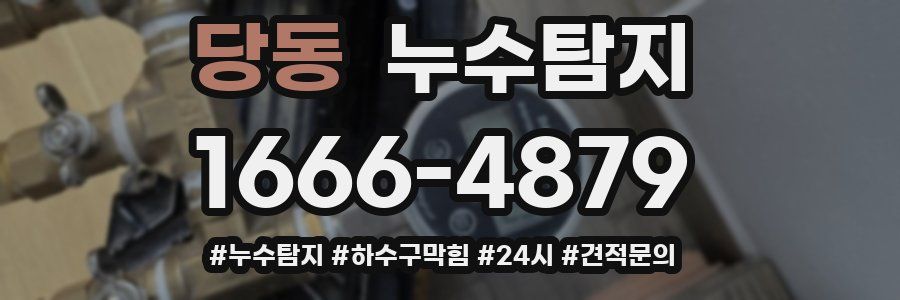 누수닥터 누수탐지