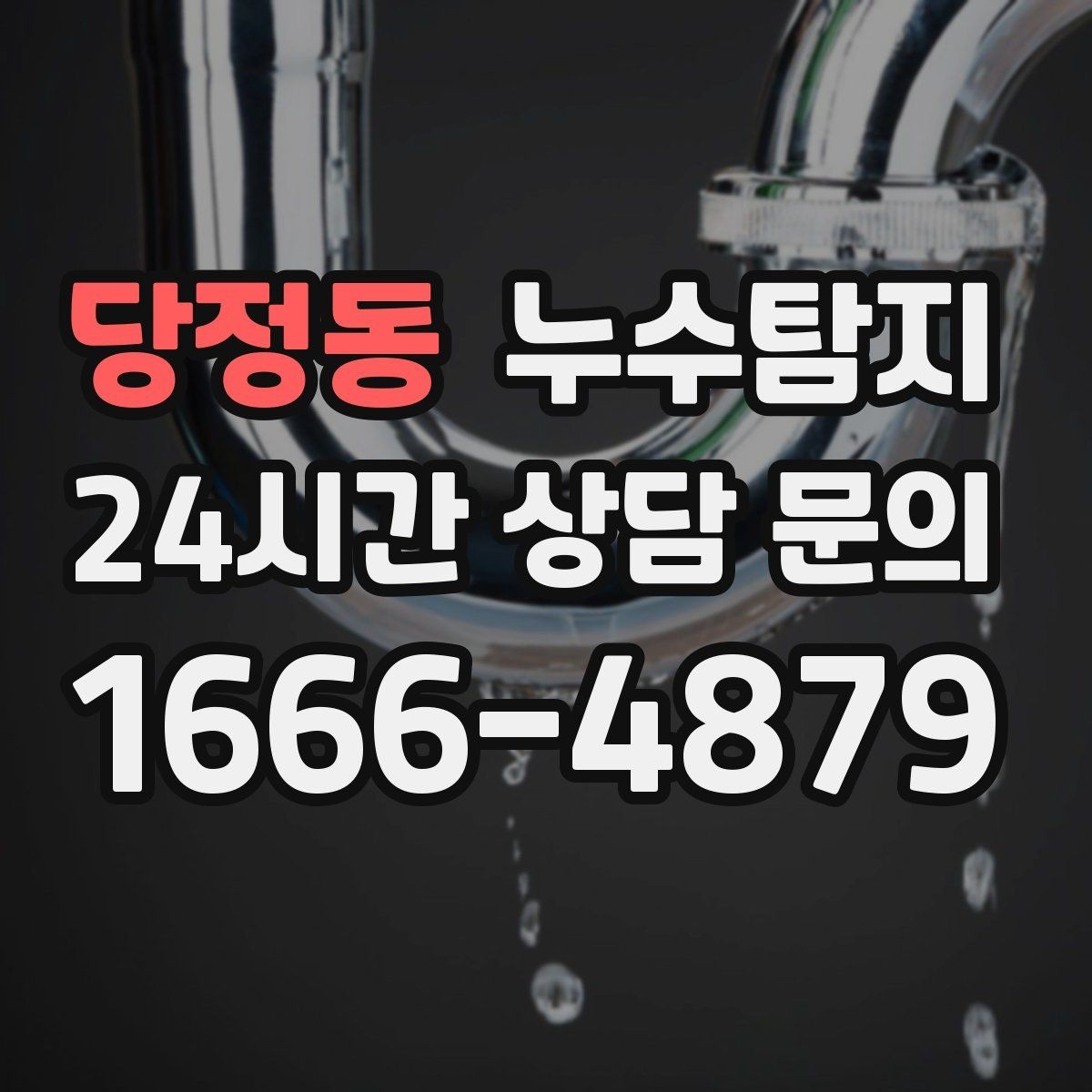 당정동 누수탐지 전문가와 함께한 현장 진단 이야기