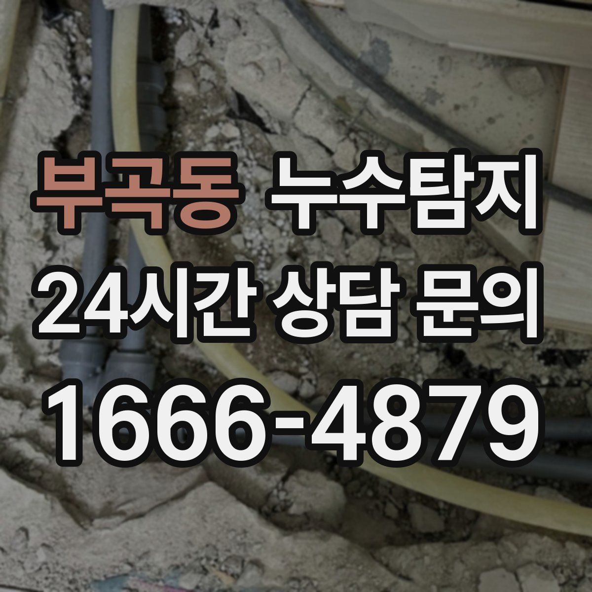 누수탐지