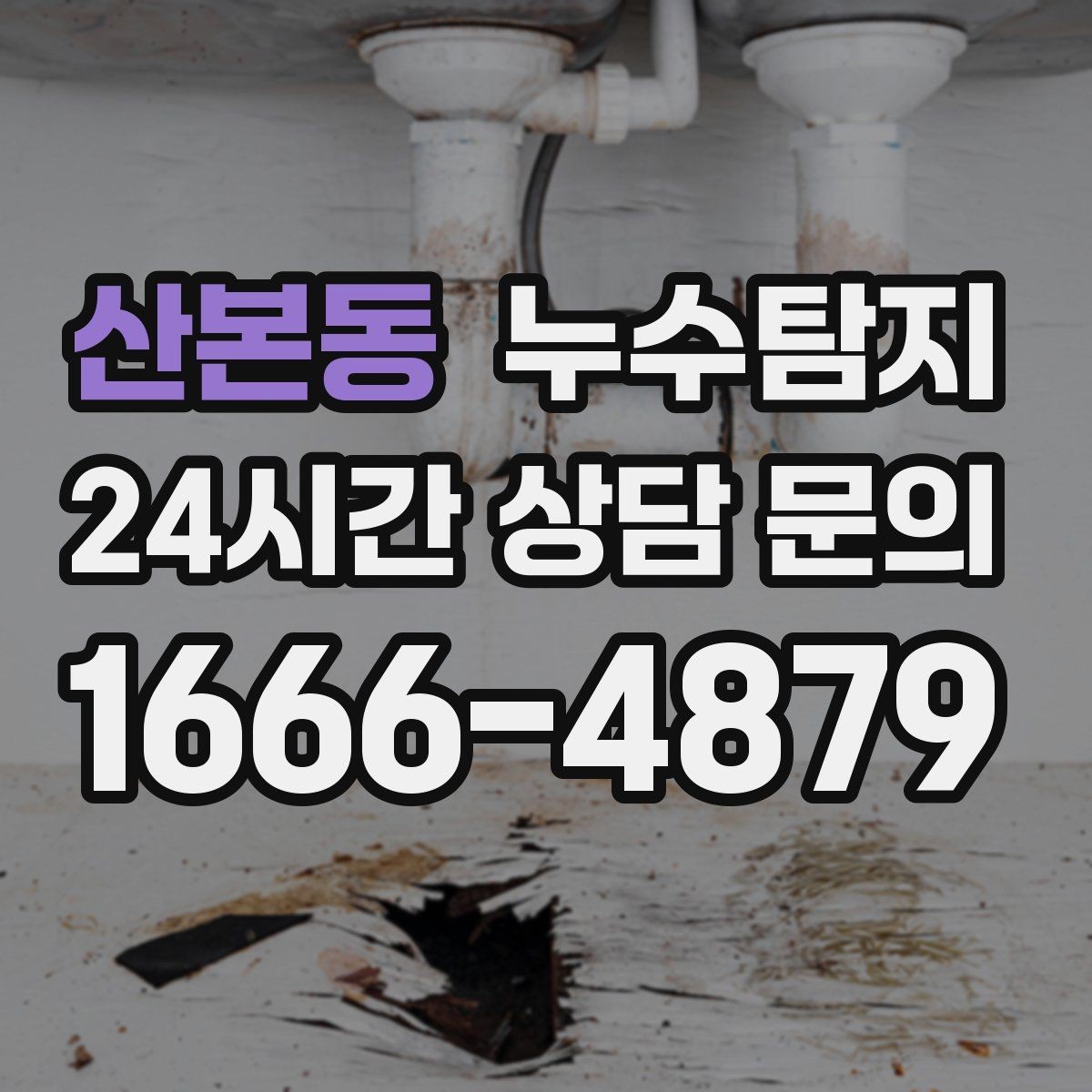 산본동 누수탐지 빠른 방문 당일 진단 가능
