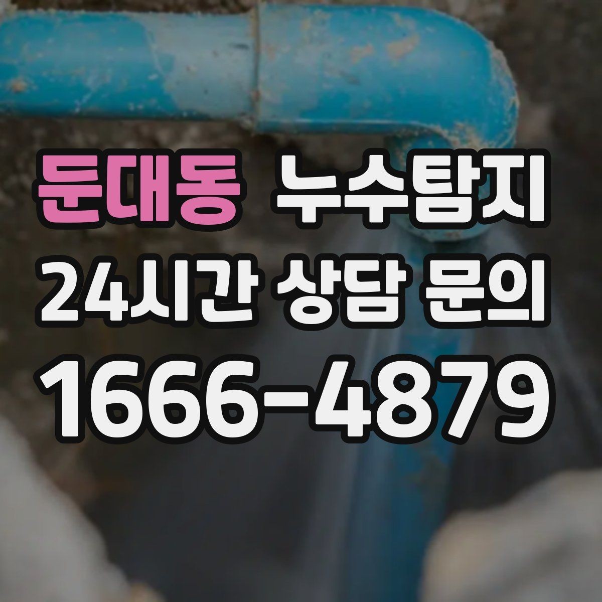 둔대동 누수탐지 세탁실 배수 문제 진단 경험