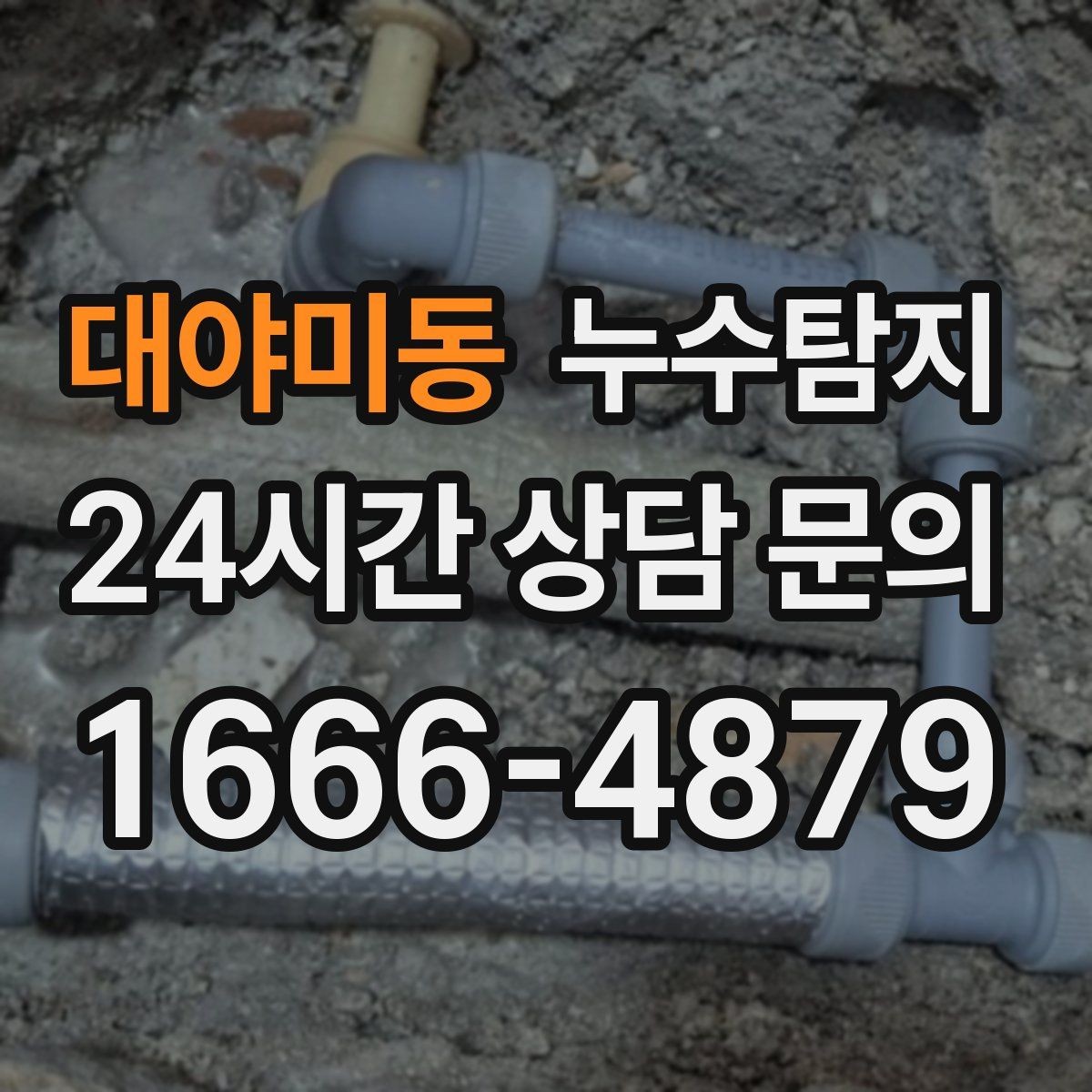 대야미동 누수탐지 상가 영업 중 조용한 점검기