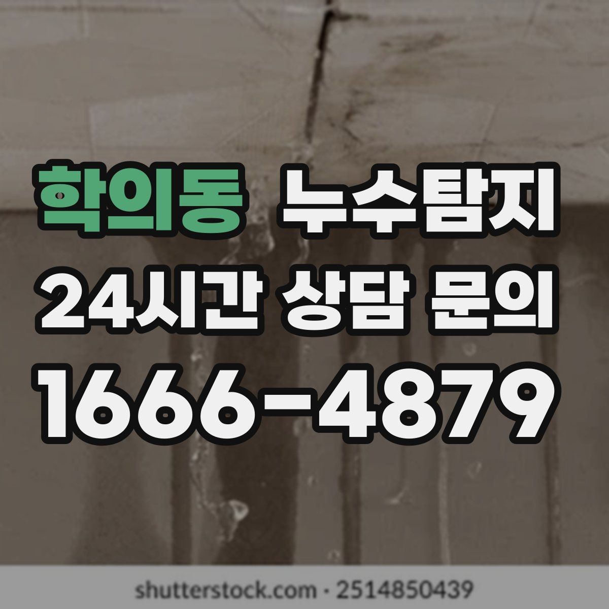 학의동 누수탐지 단독주택 외부 관로 점검 이야기