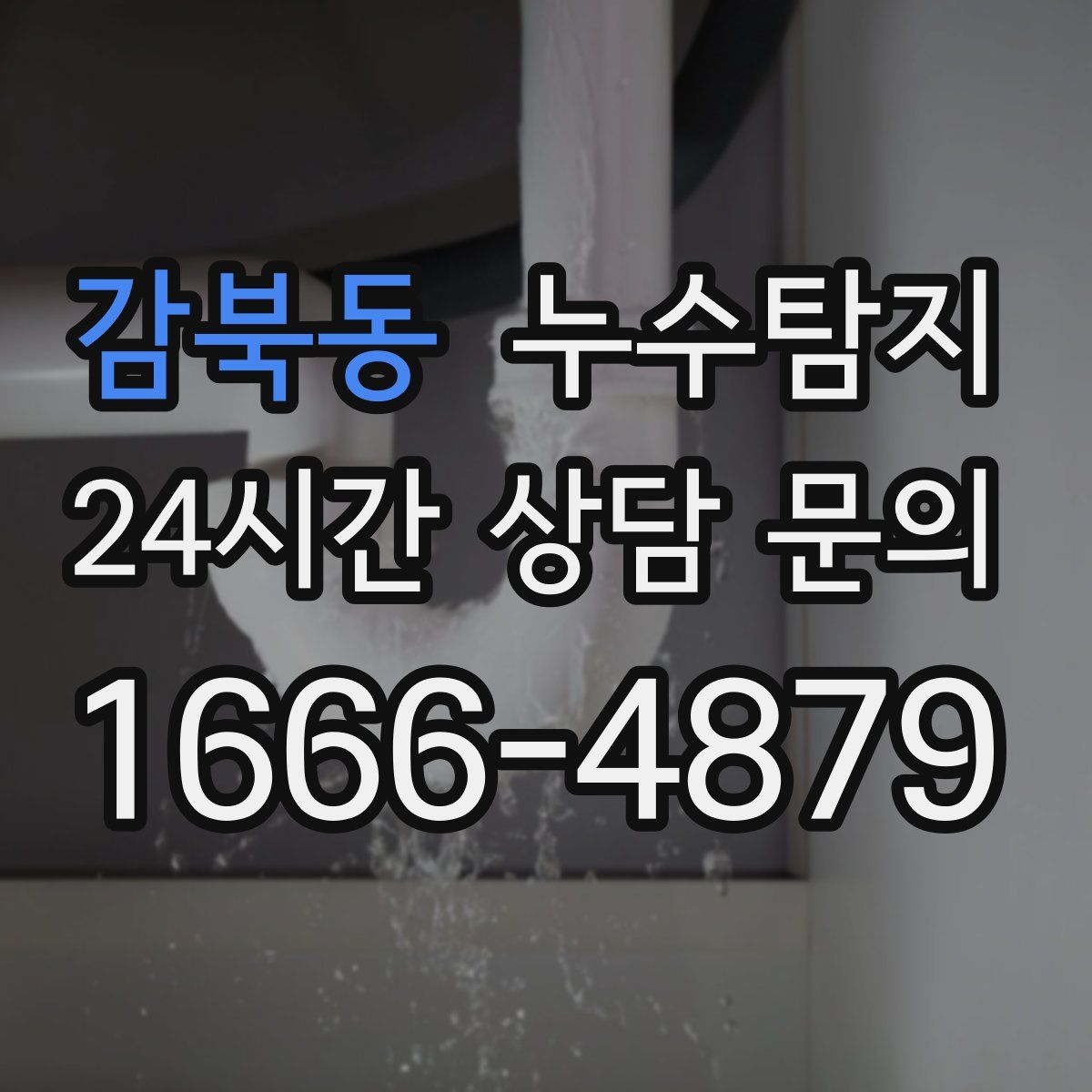 누수탐지