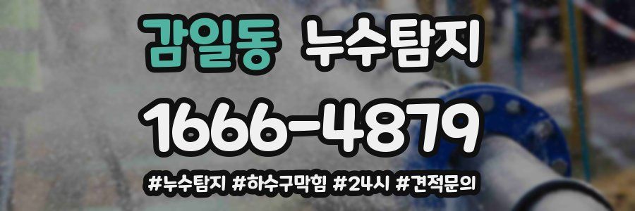 누수닥터 누수탐지