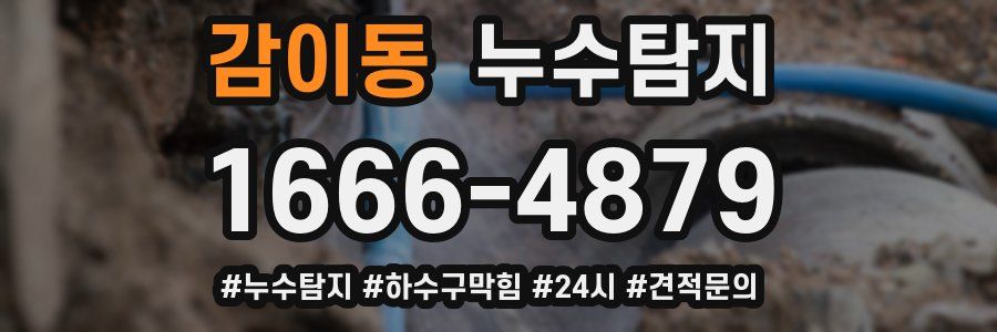 누수닥터 누수탐지