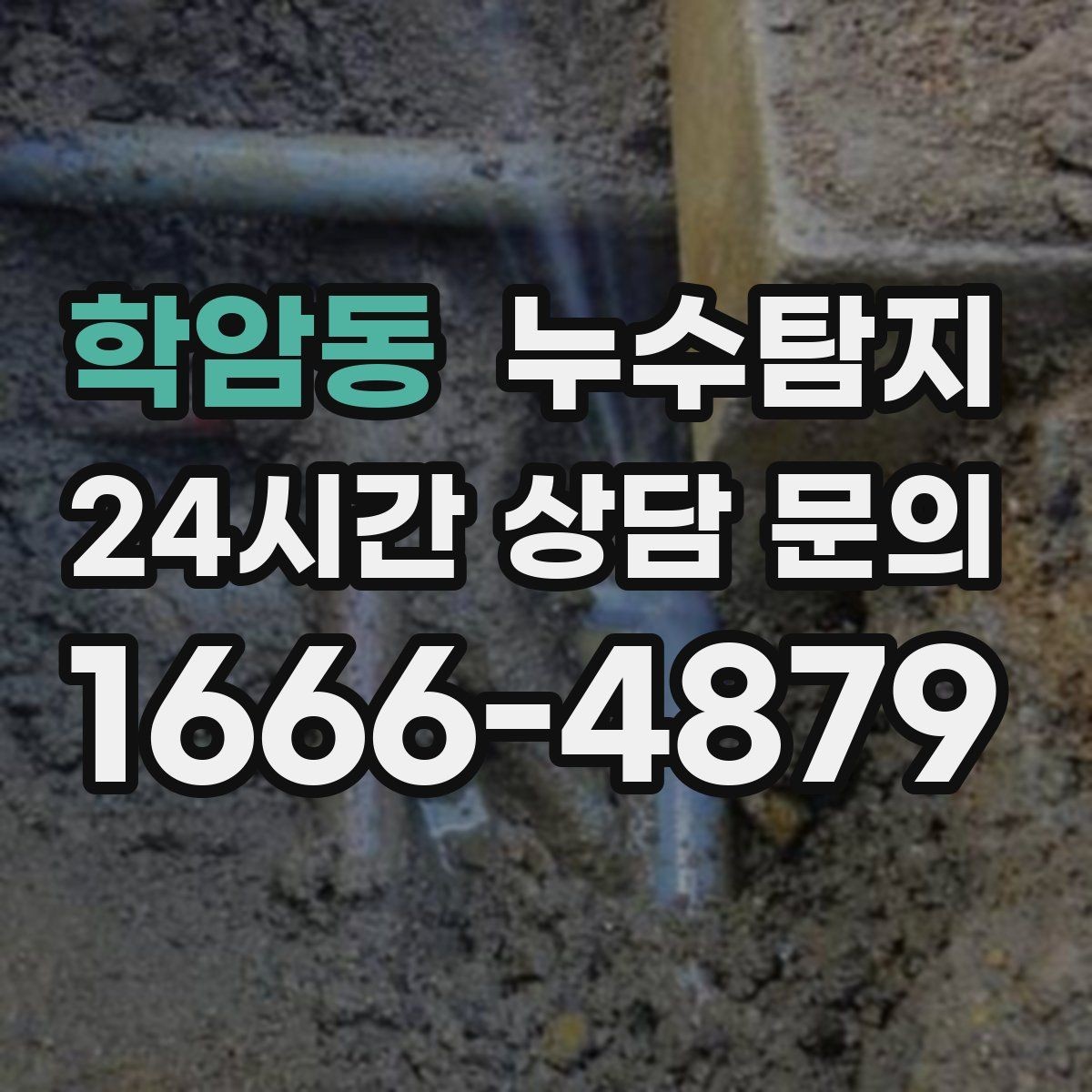 학암동 누수탐지 빠른 판단이 막은 2차 피해