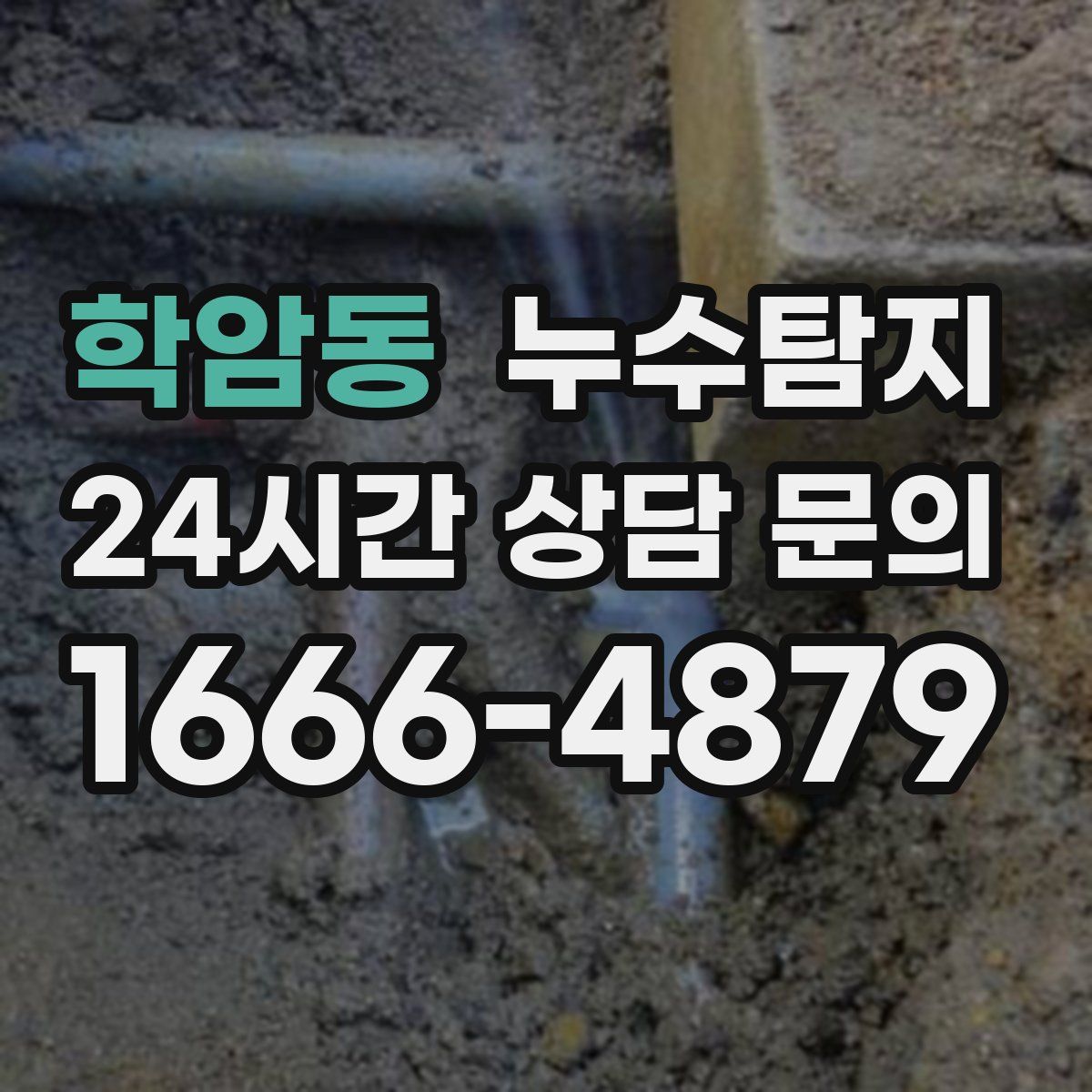 누수탐지