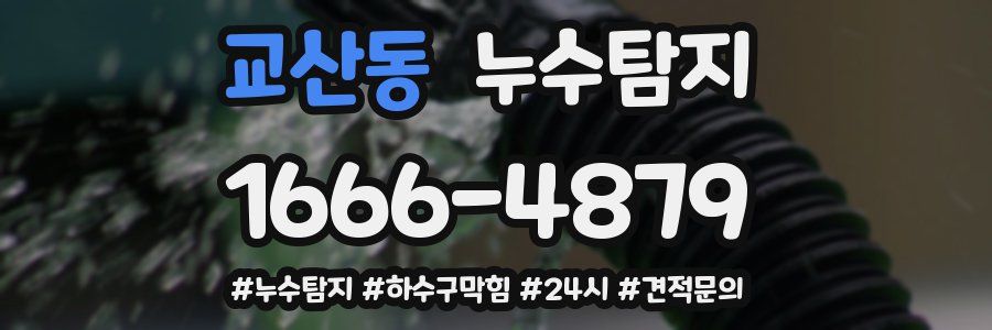 누수닥터 누수탐지