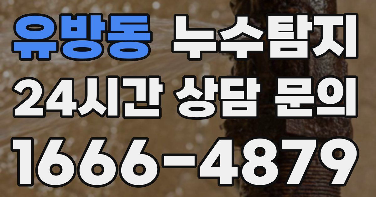 하수구막힘