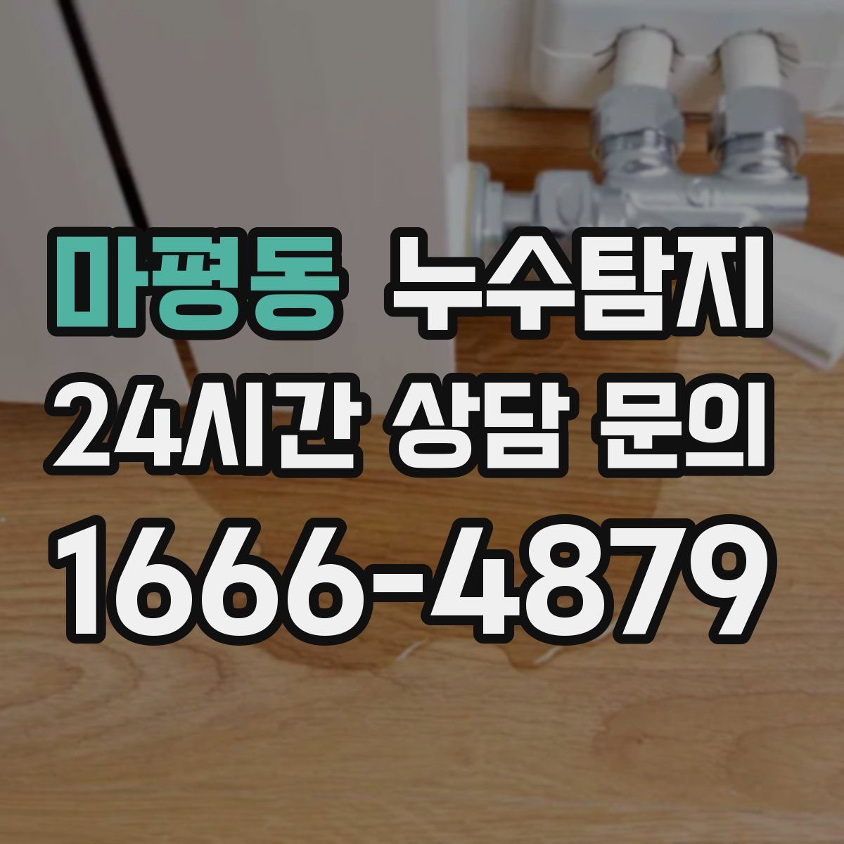 누수탐지