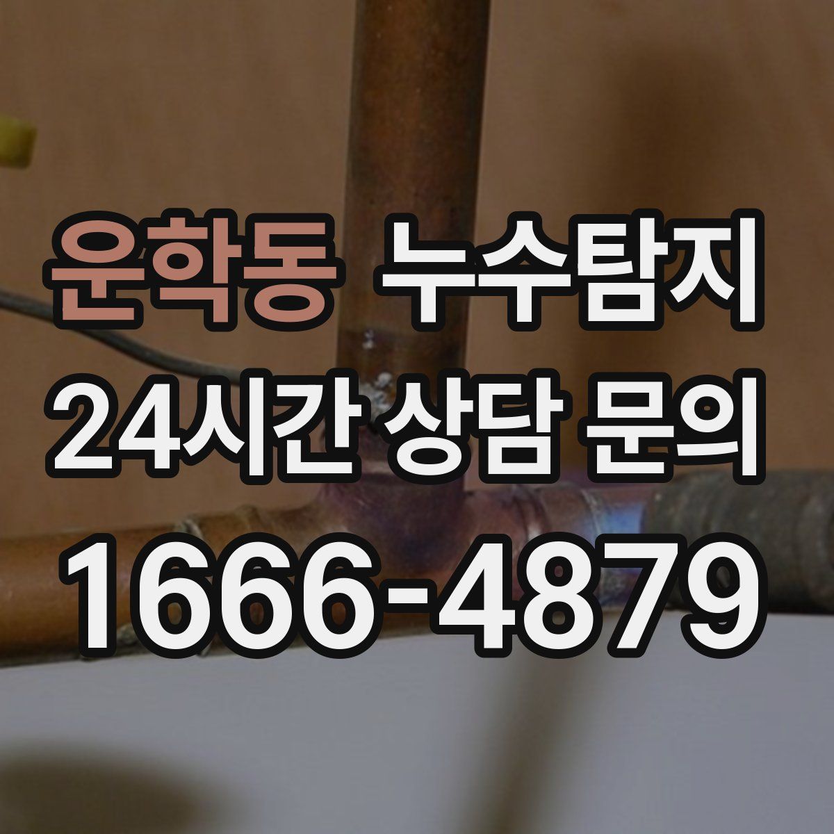 누수탐지