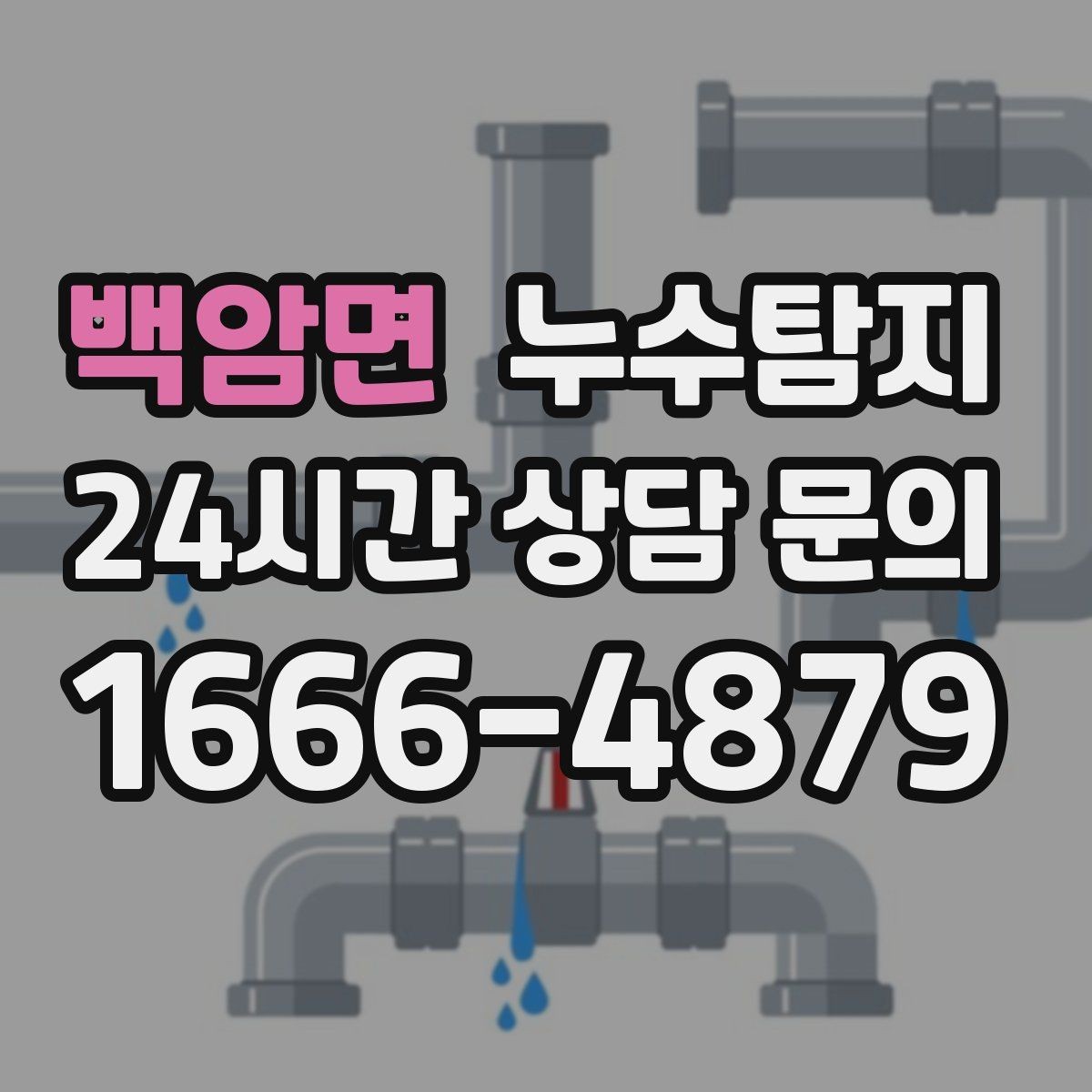 백암면 누수탐지 상가와 카페 영업 중 점검 노하우