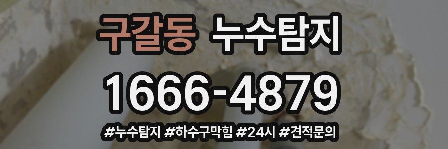누수닥터 누수탐지