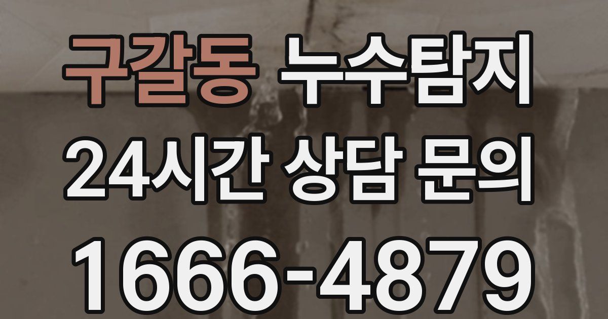 하수구막힘