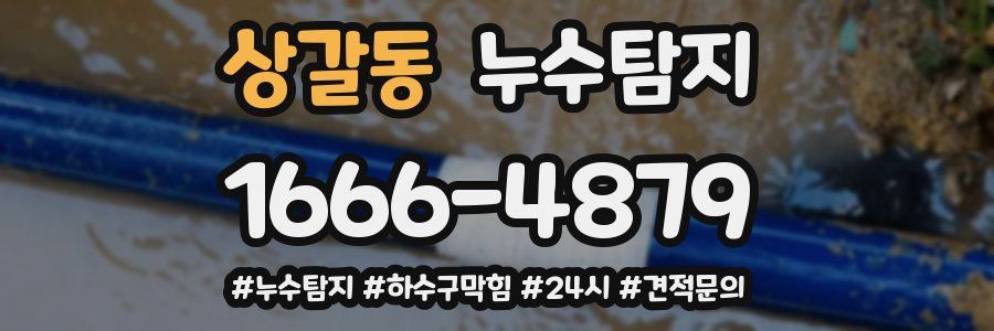 누수닥터 누수탐지