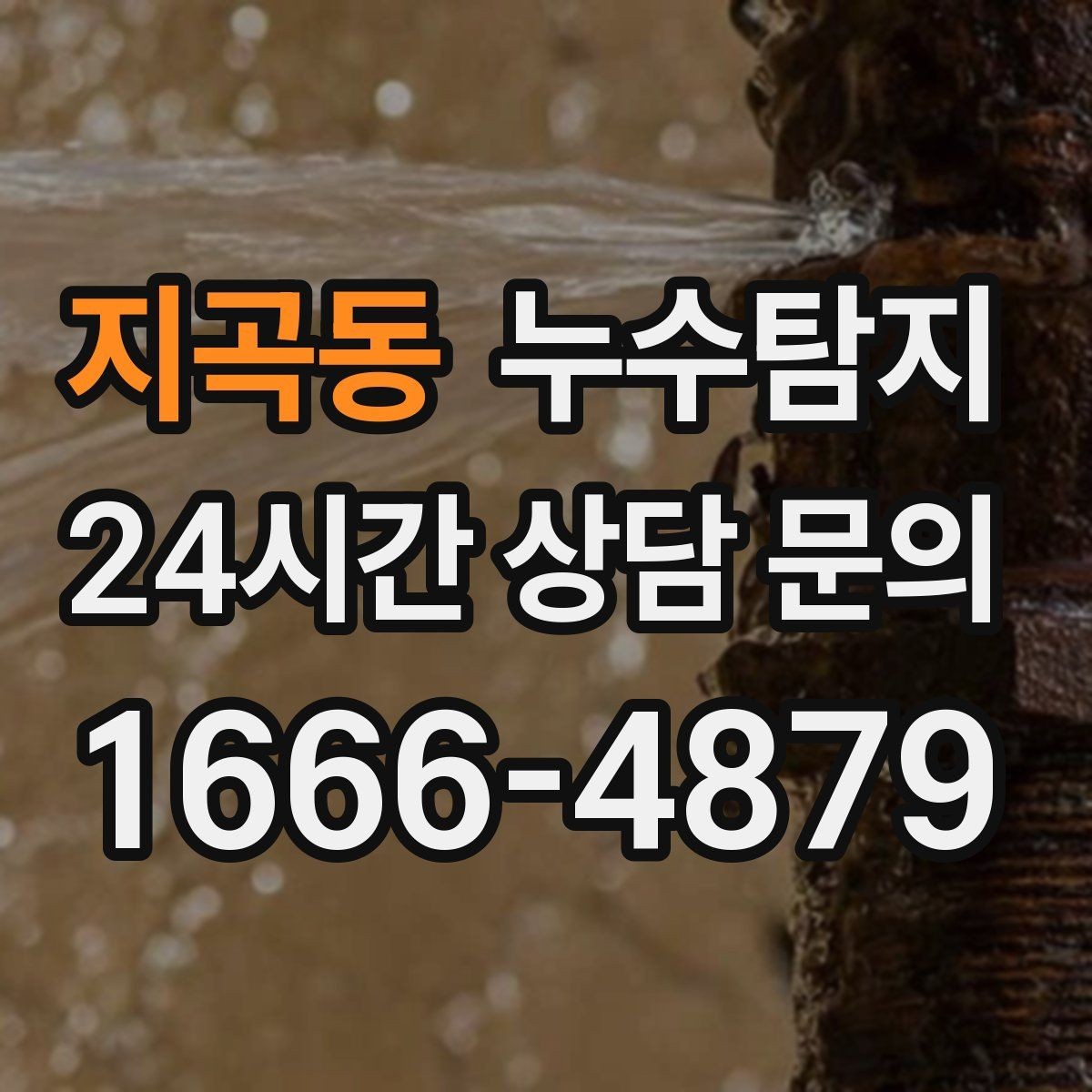 지곡동 누수탐지 빠른 방문 당일 진단 가능