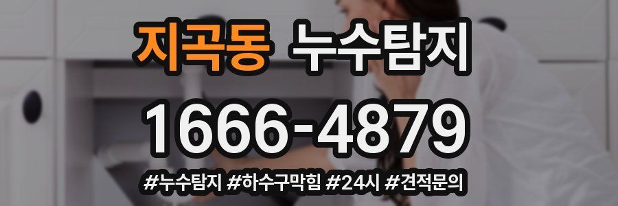 누수닥터 누수탐지