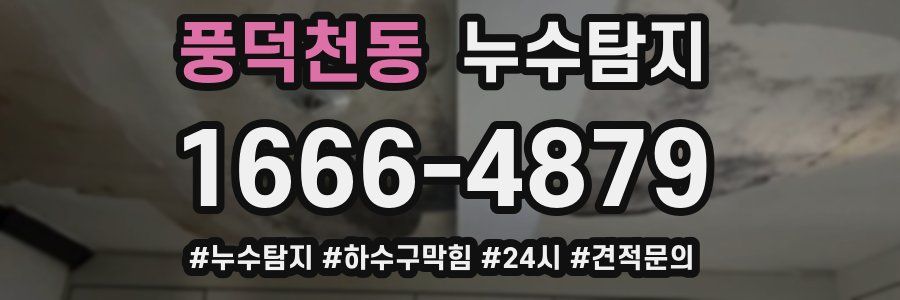 누수닥터 누수탐지
