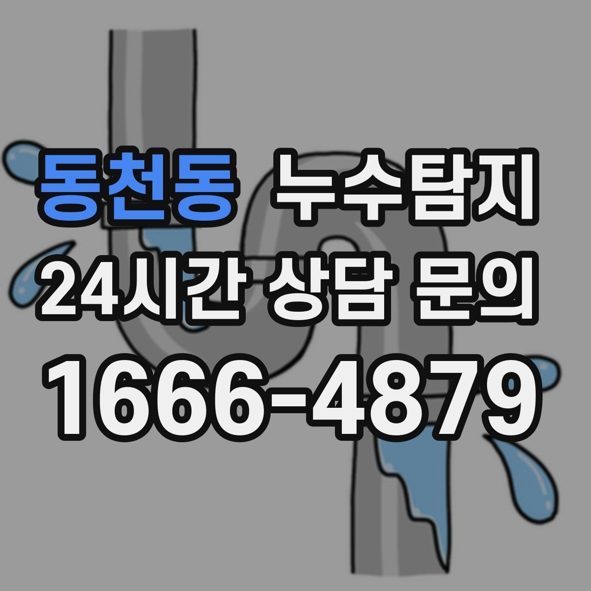 동천동 누수탐지 벽지 들뜸 빠른 진단 노하우