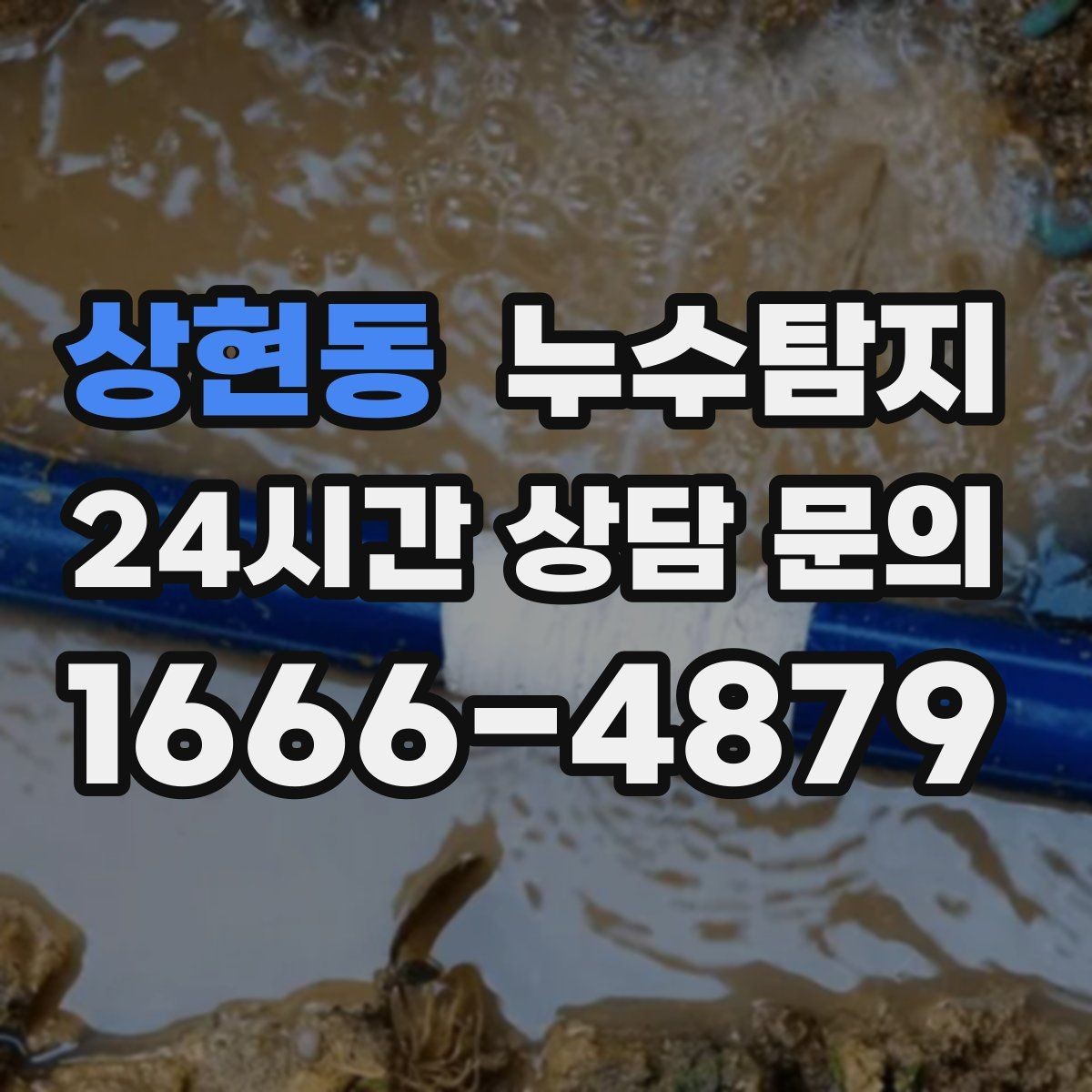 상현동 누수탐지 옥상 파라펫 균열 점검 일지