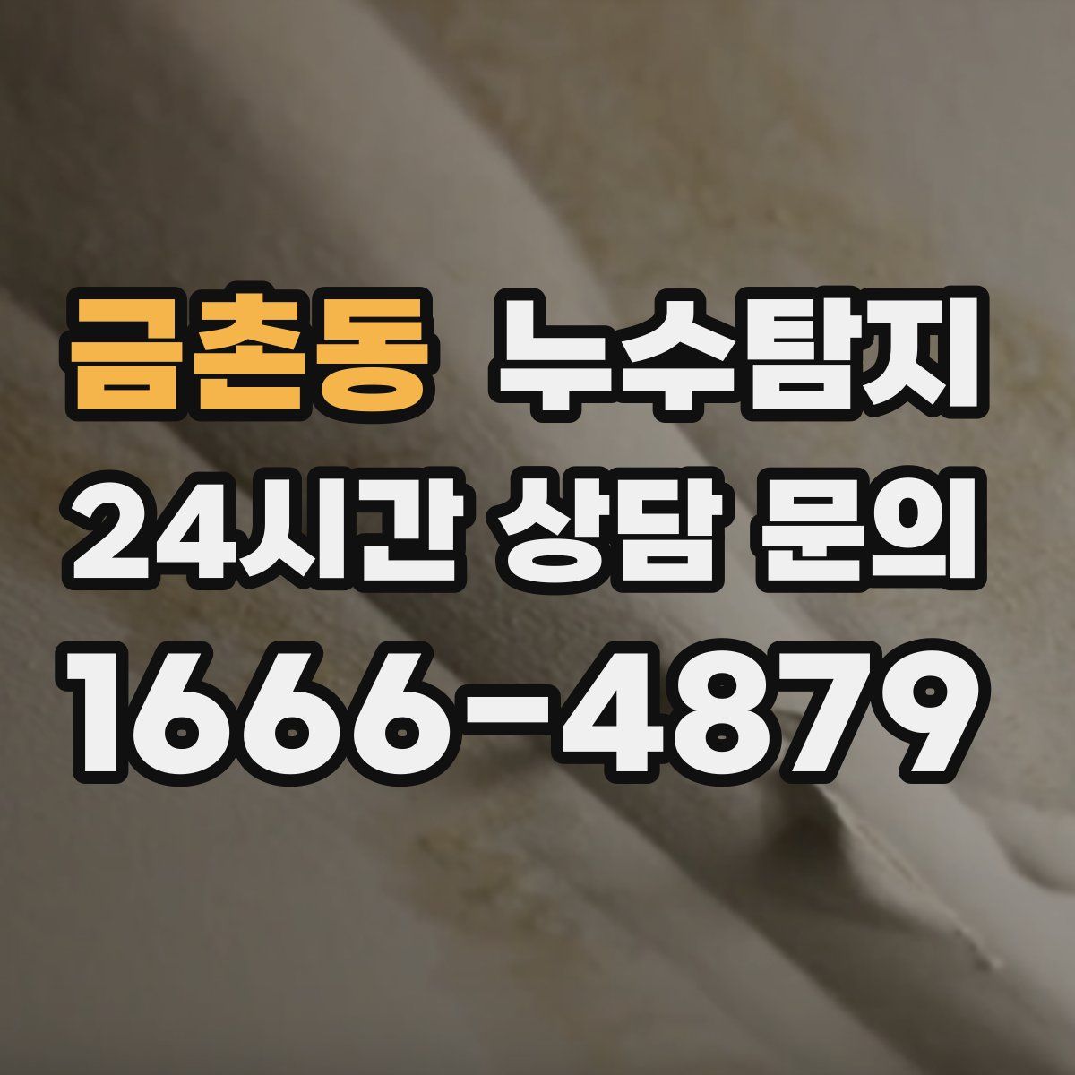 누수탐지