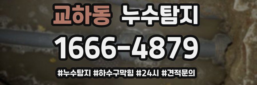 누수닥터 누수탐지