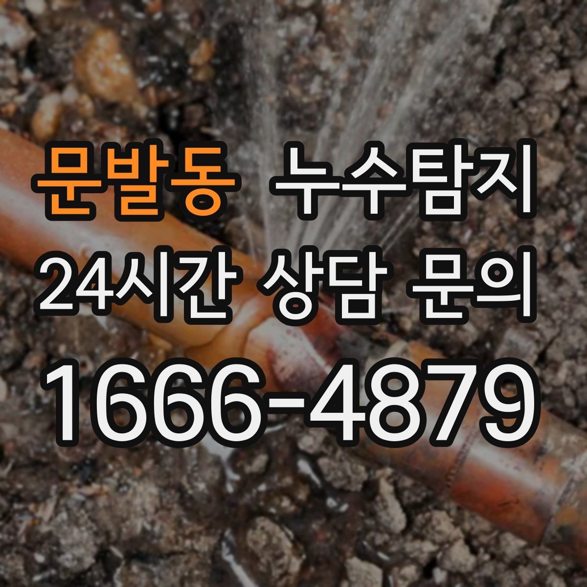 문발동 누수탐지 빠른 판단이 막은 2차 피해