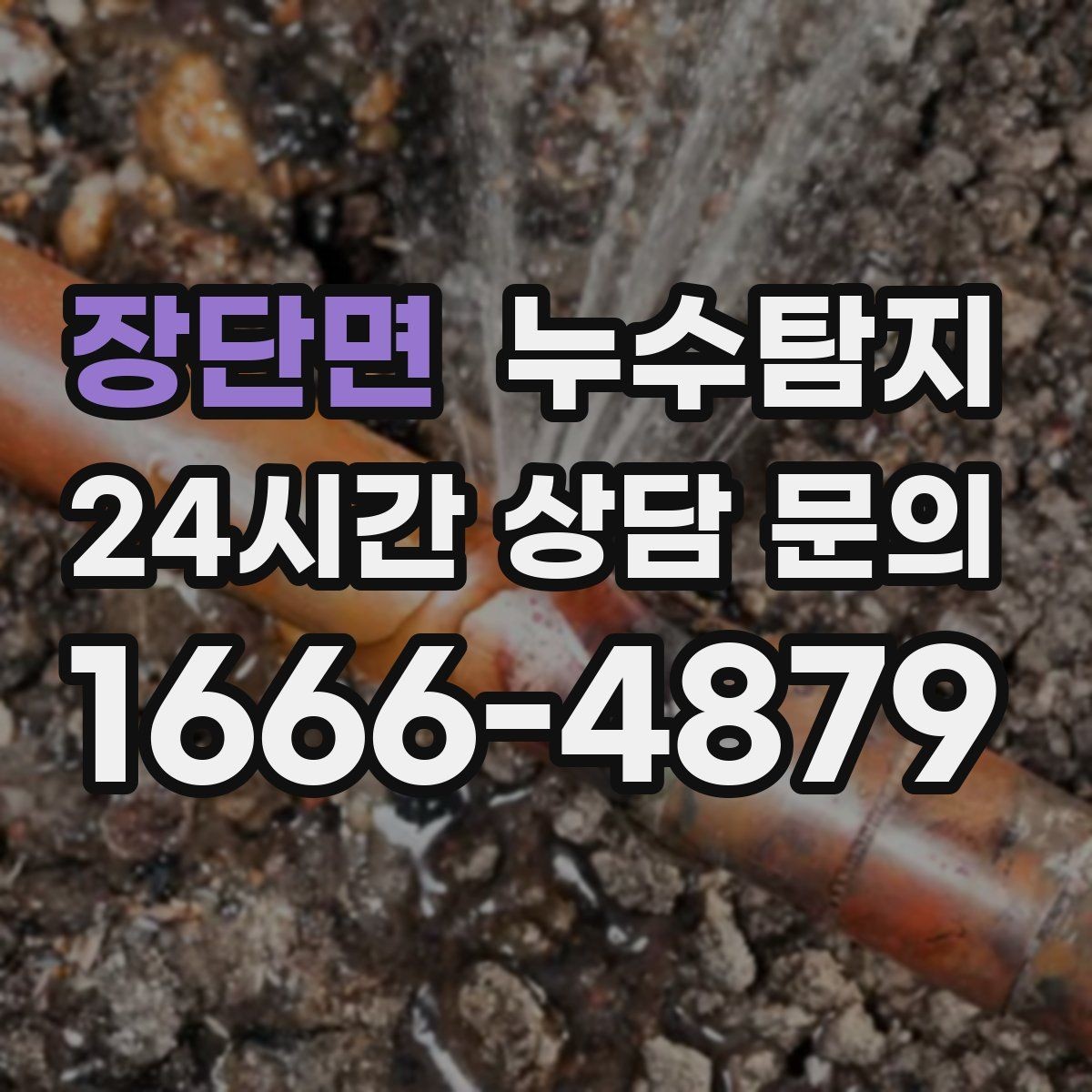 장단면 누수탐지 현장 진단에서 배운 체크 포인트