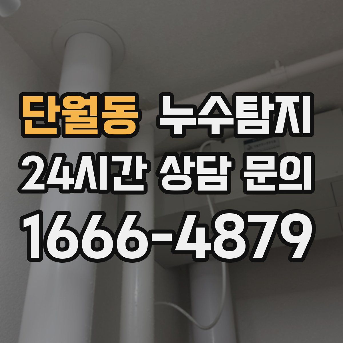 누수탐지