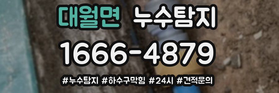 누수닥터 누수탐지