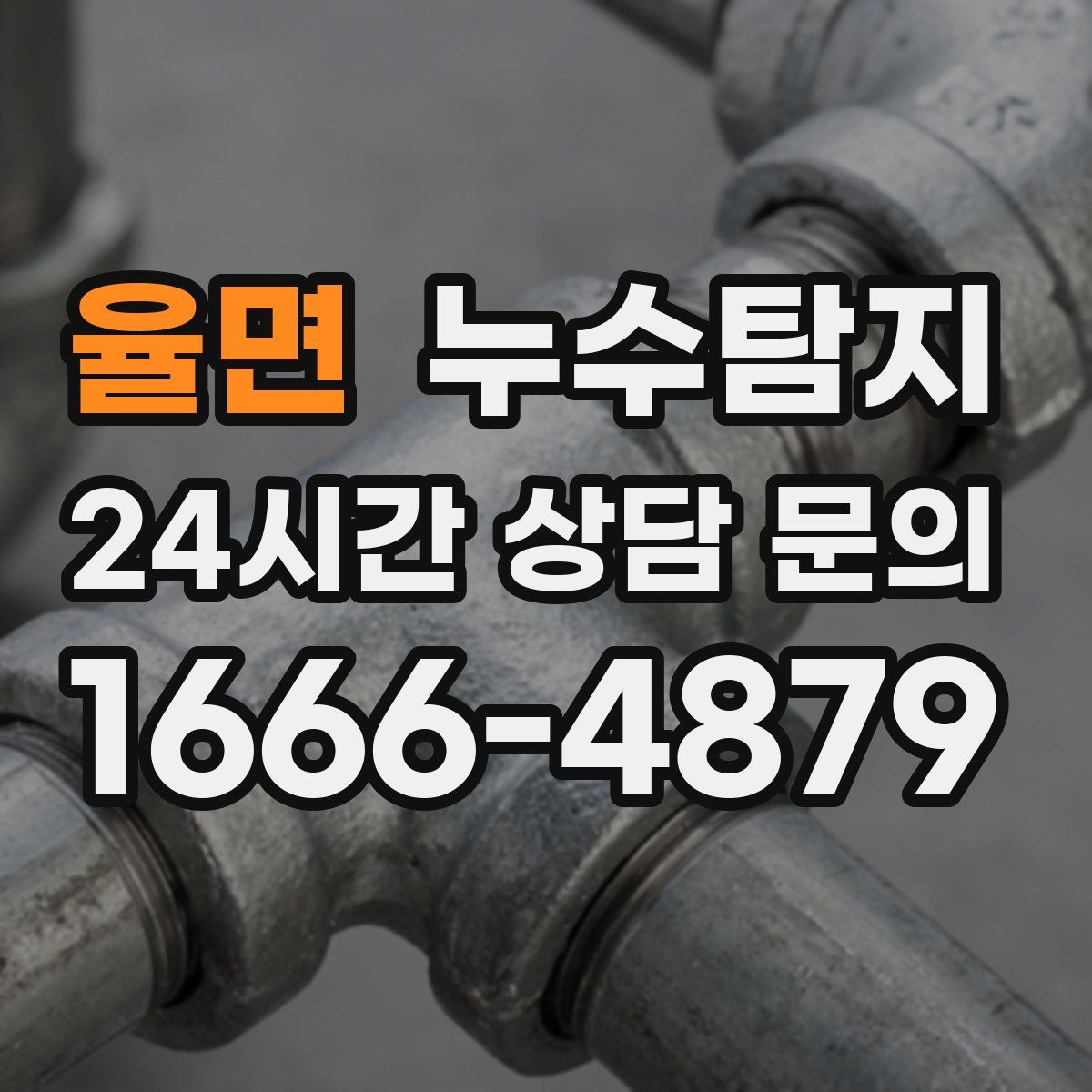 누수탐지