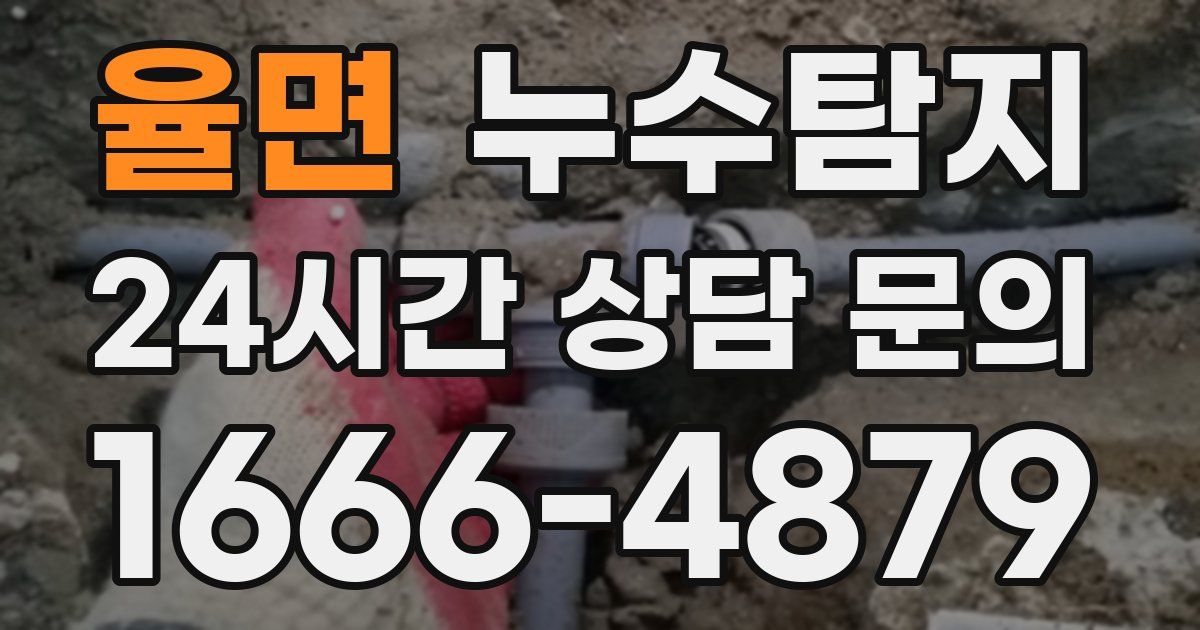 하수구막힘
