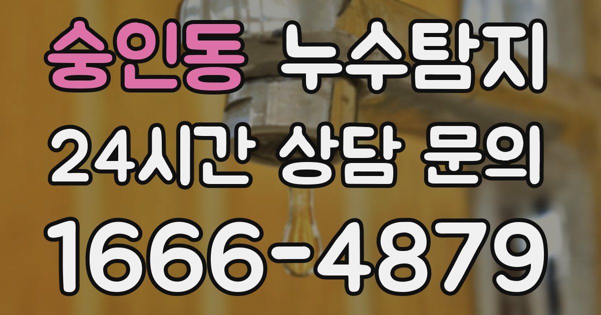 하수구막힘